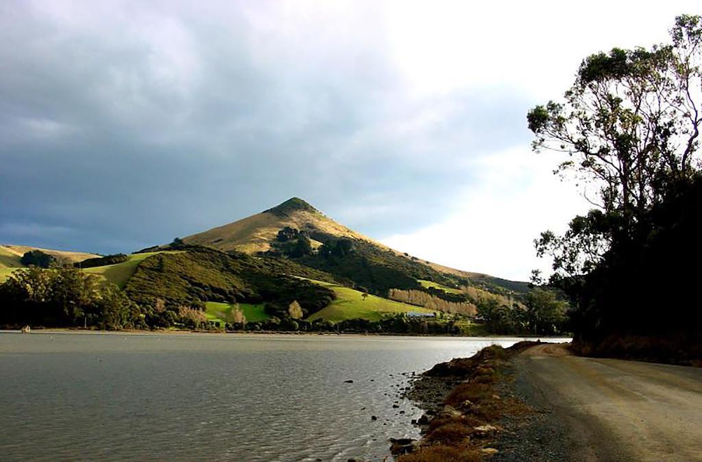 Arts Content Harbour View Appartamento Macandrew Bay Esterno foto