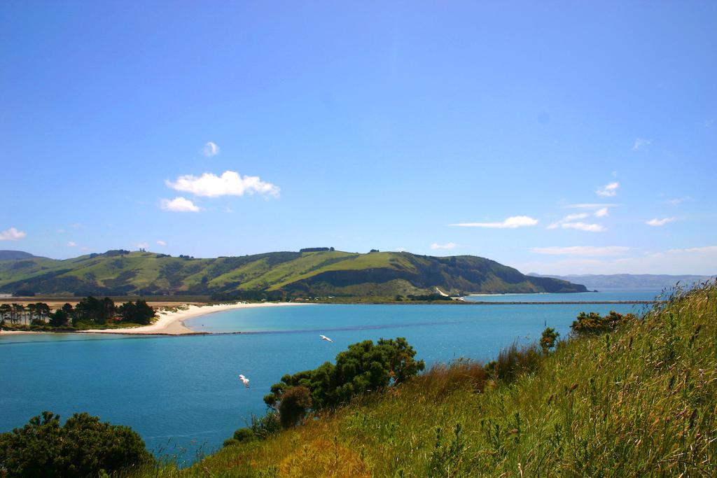 Arts Content Harbour View Appartamento Macandrew Bay Esterno foto