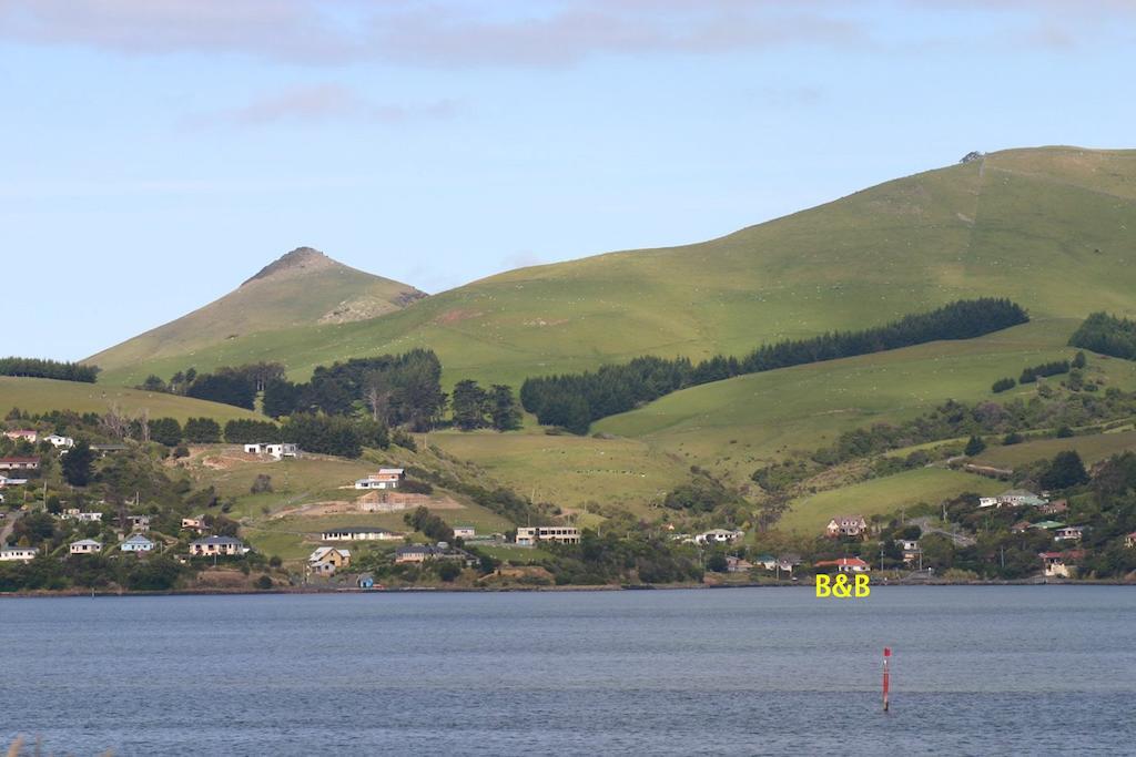 Arts Content Harbour View Appartamento Macandrew Bay Esterno foto