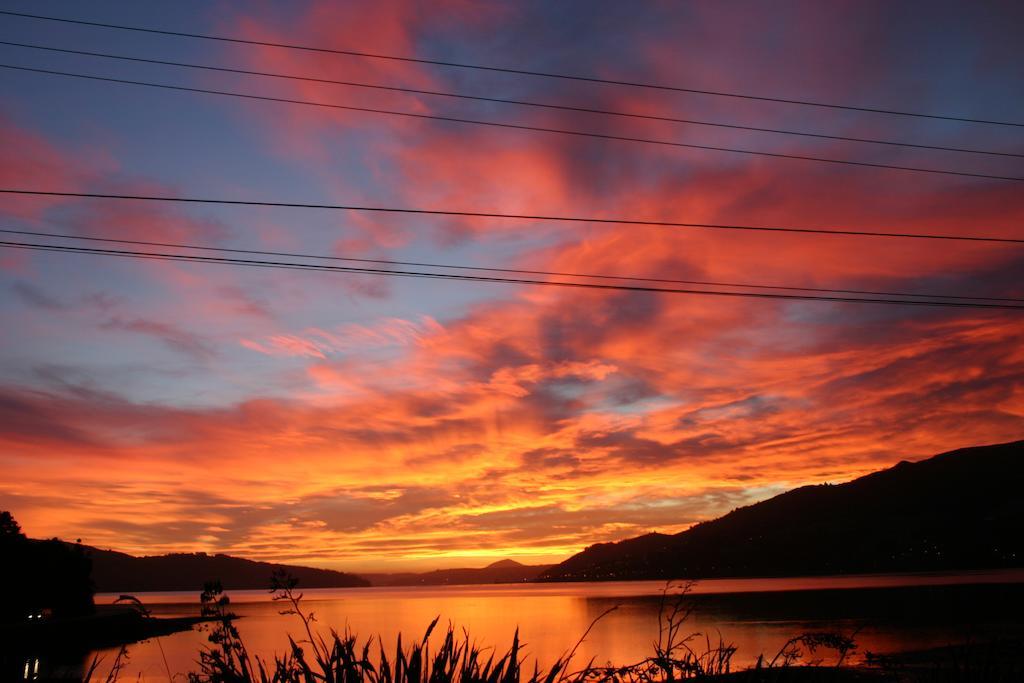 Arts Content Harbour View Appartamento Macandrew Bay Esterno foto