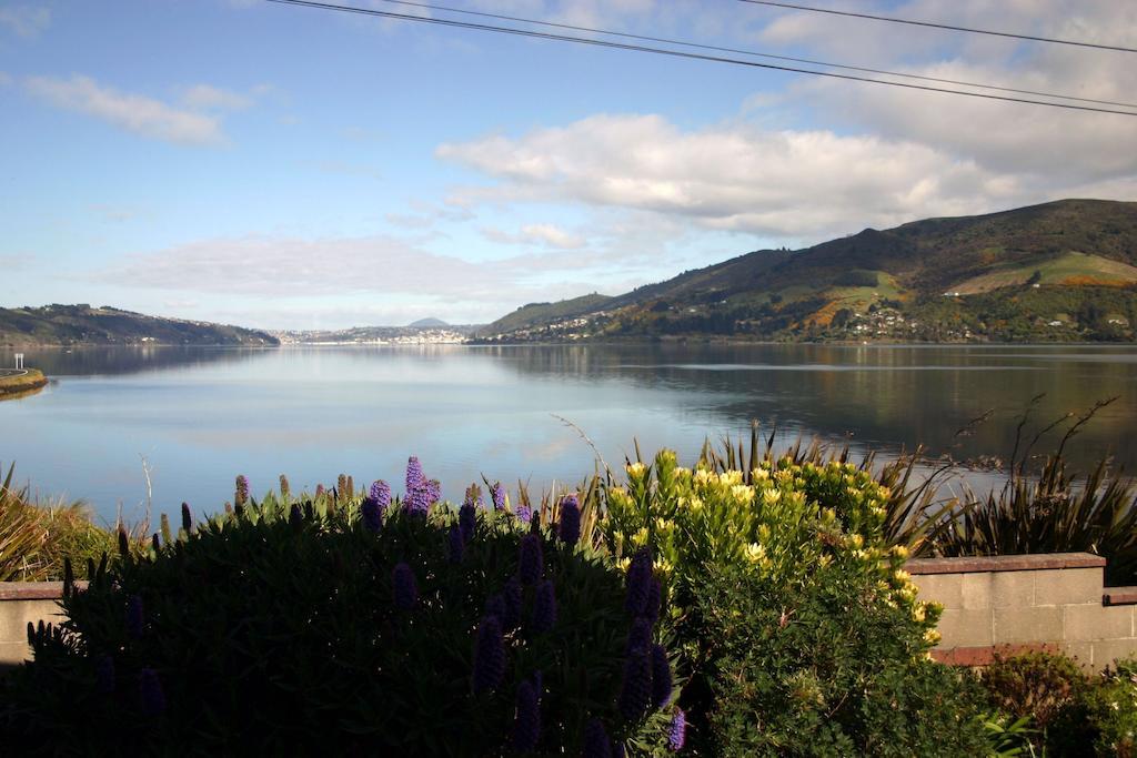 Arts Content Harbour View Appartamento Macandrew Bay Esterno foto