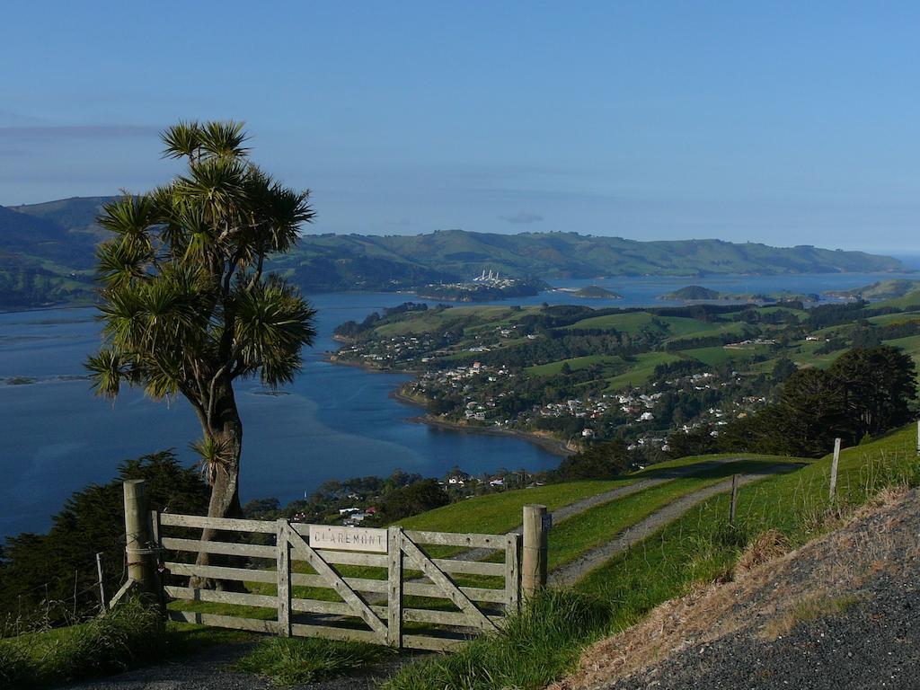 Arts Content Harbour View Appartamento Macandrew Bay Esterno foto