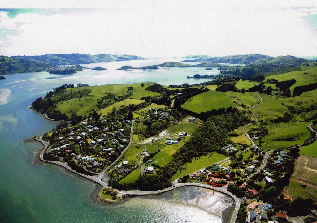 Arts Content Harbour View Appartamento Macandrew Bay Esterno foto